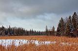 Marsh In Winter_14118